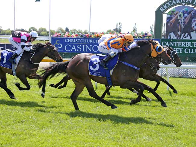 Triple Winning Treat at Riccarton