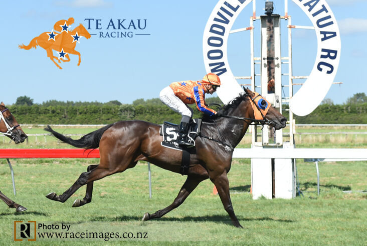 Te Akau Woodville Thursday Preview