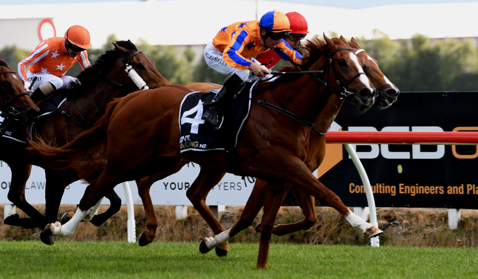 Group 2 Glory for Wild Night