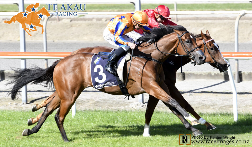 Willpower Wins - A Matamata Double