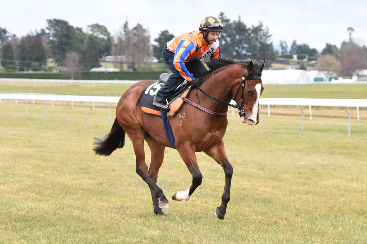 Te Akau Taupo Trials' Report