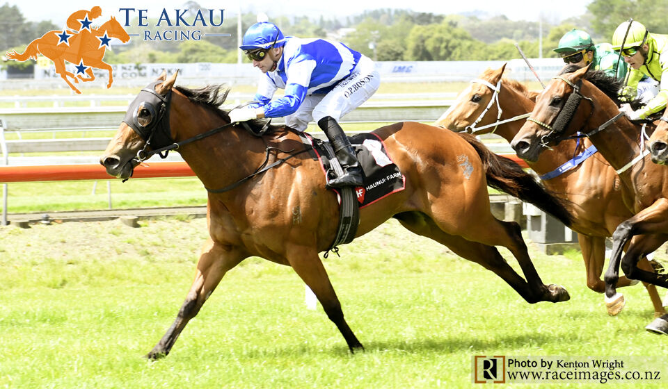 Witchery Weaves Winning Magic