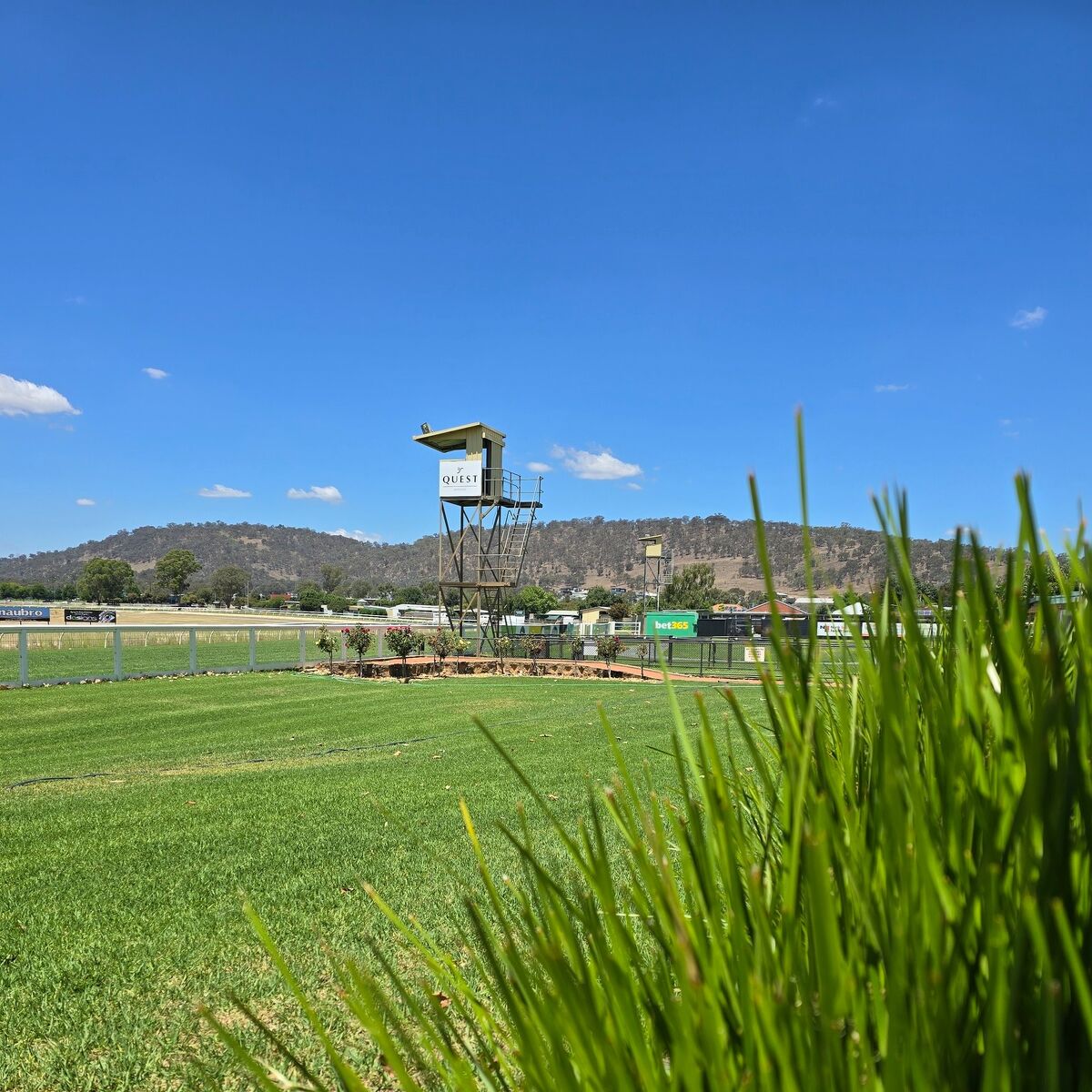 Te Akau Wodonga Thursday Preview