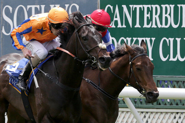 Four Win Te Akau Weekend