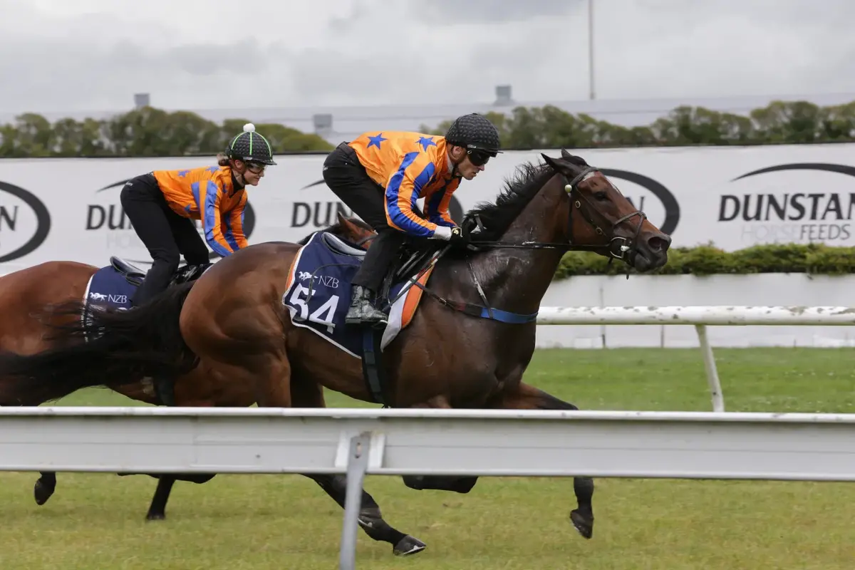 Wolverine Nearing Race Day Return