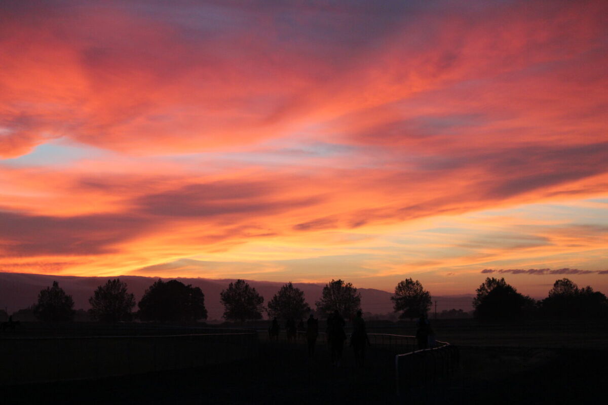 Te Akau Tuesday Trackwork