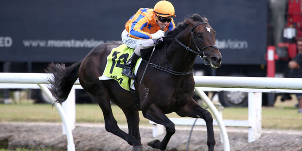 History Says - 2016 Australian Guineas