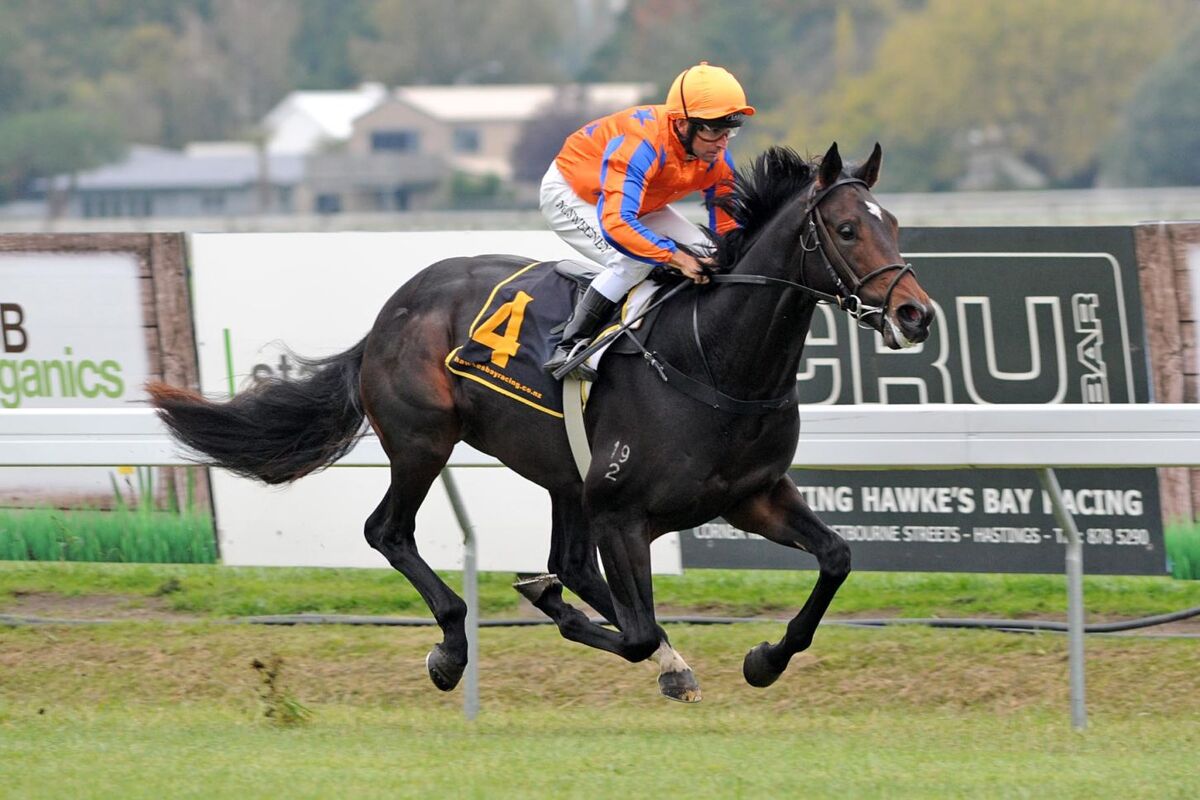 Te Akau Hastings Thursday Preview
