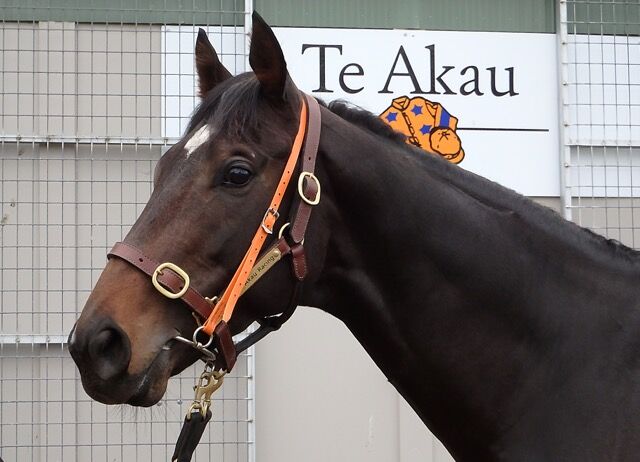 Xtravagant Tops 3YO Free Handicap