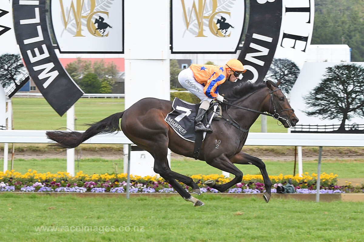 Te Akau NZ Win 3 of 5 - Xtra Good