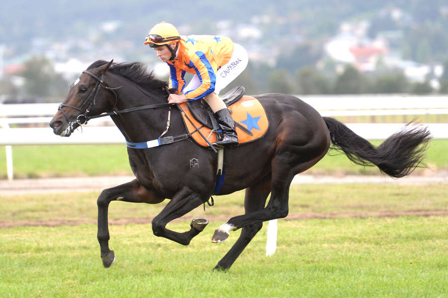 Te Akau Sunday Te Aroha Preview