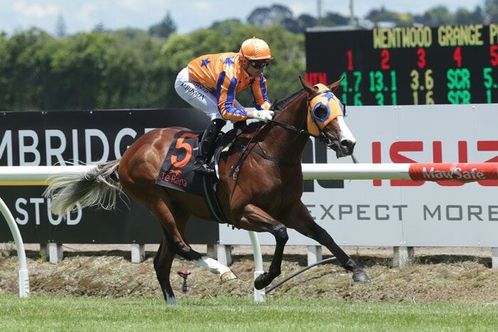Yourdeel Delivers When It Counts