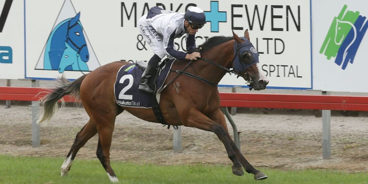 Bosson Back for Manawatu Sires