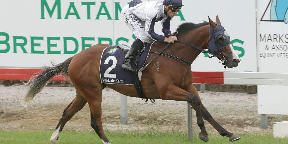 Yourdeel Heads Te Akau Trio in Grp 1 Sistema