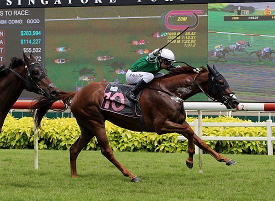 Winning Weekend for Te Akau Singapore