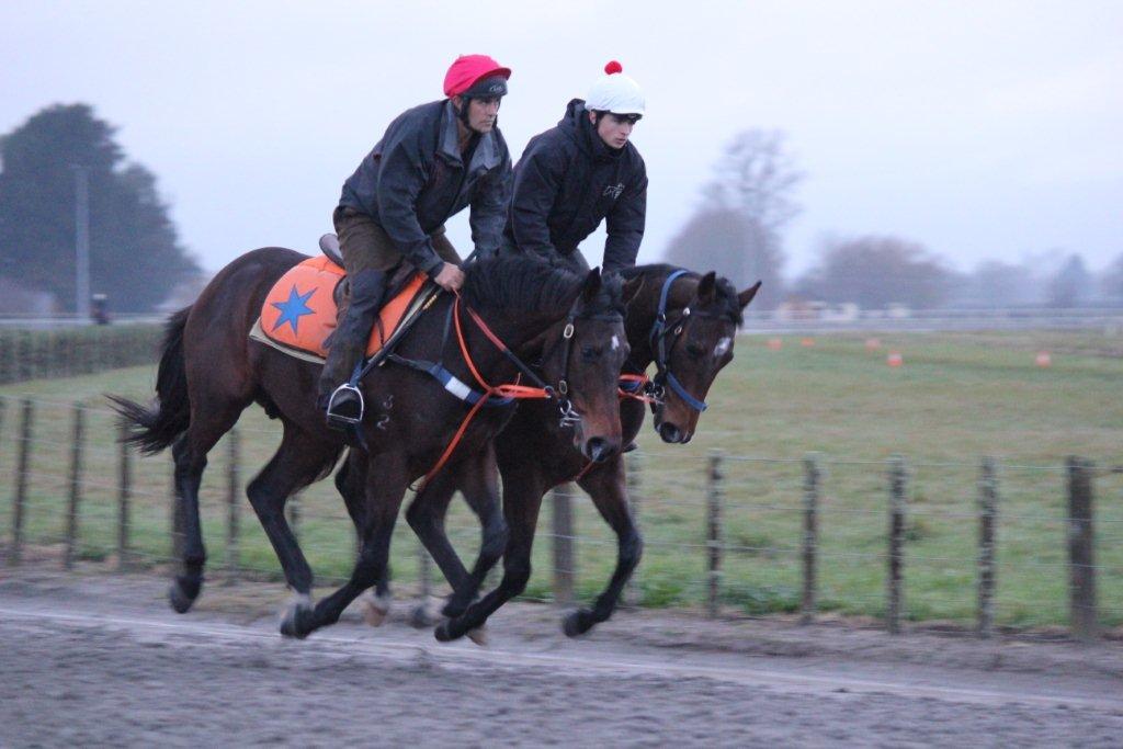Te Akau Weekend Trackwork