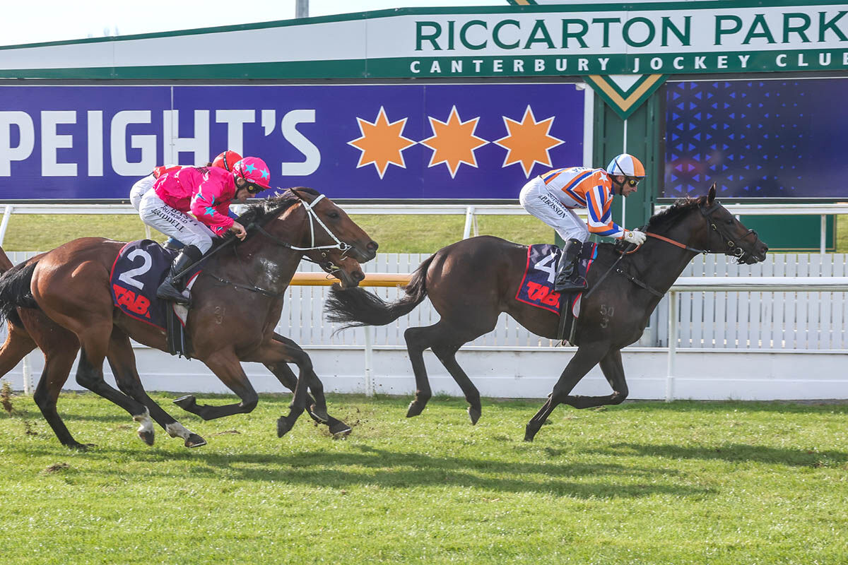 Winner: Zafar Stakes' Winning Debut