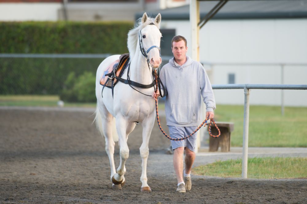 Te Akau Thursday Trackwork