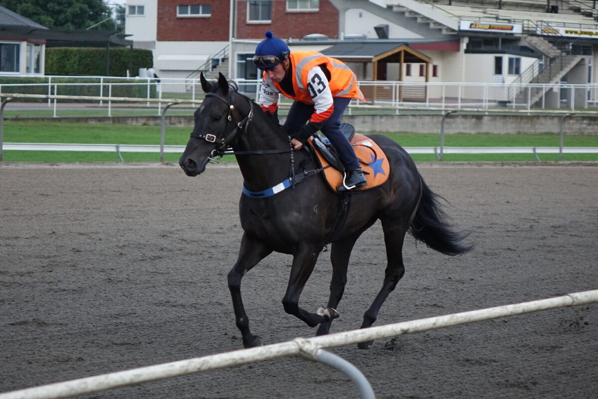 Te Akau Thursday Trackwork