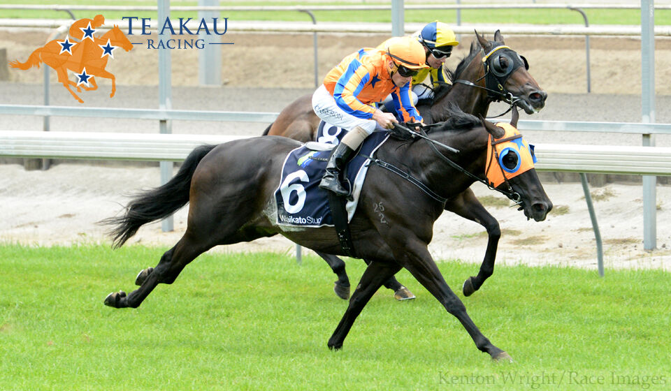 Te Akau Ellerslie preview