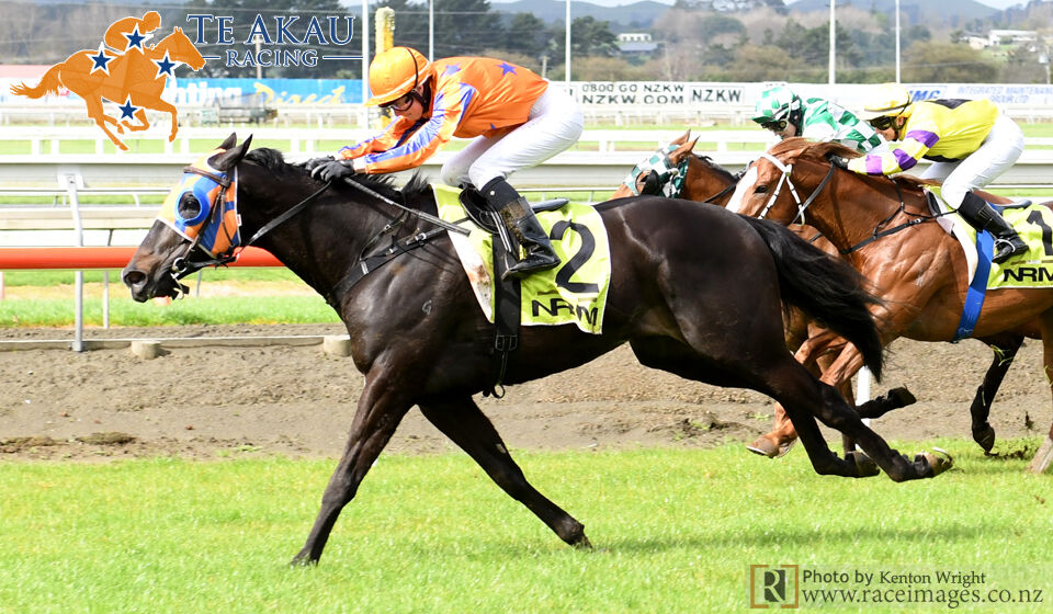 Zambezi Warrior Progressing Well