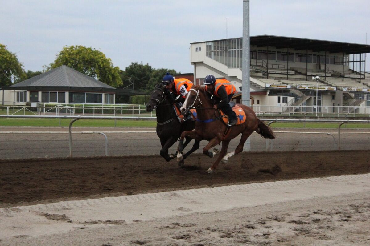 Te Akau Tuesday Trackwork