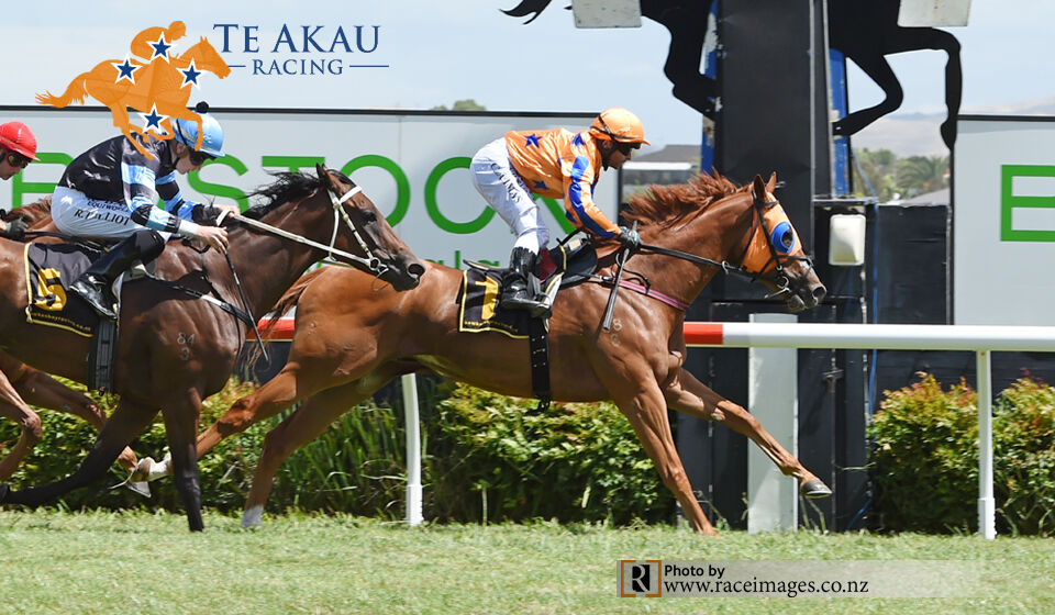 Zavistic Zooms Home