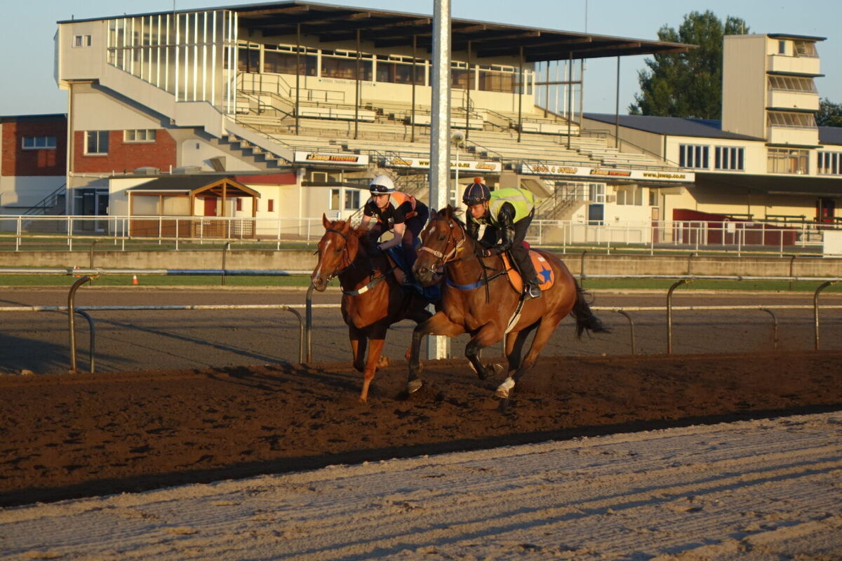 Te Akau Christmas Eve Trackwork