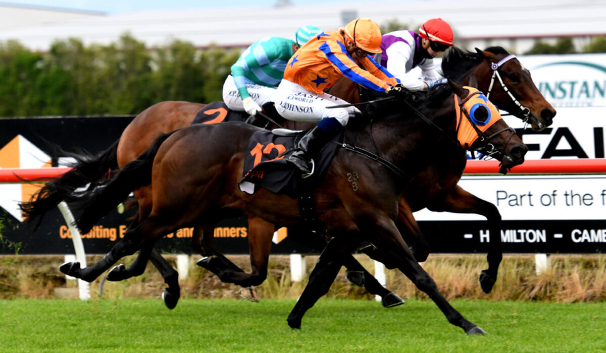 Winning Waikato Double - Zeitaku Zippy