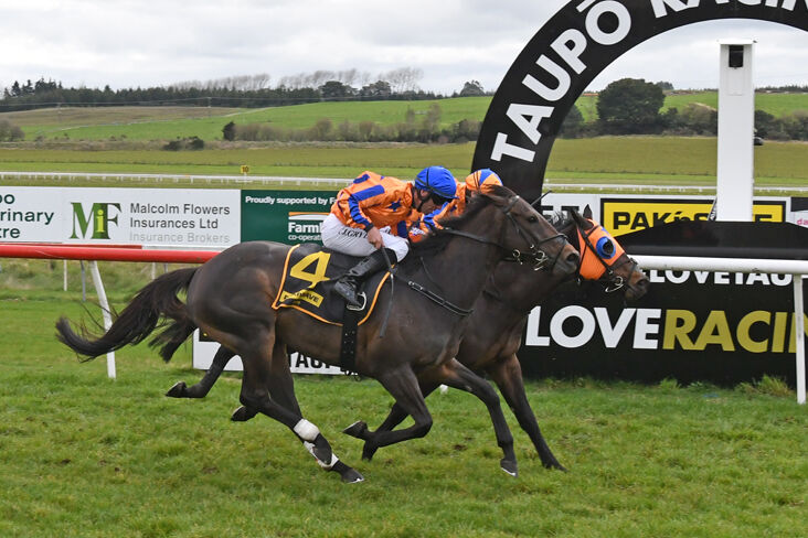 Te Akau Taupo Friday Preview