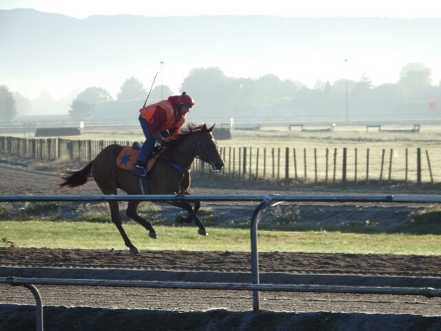 Te Akau Weekend Trackwork