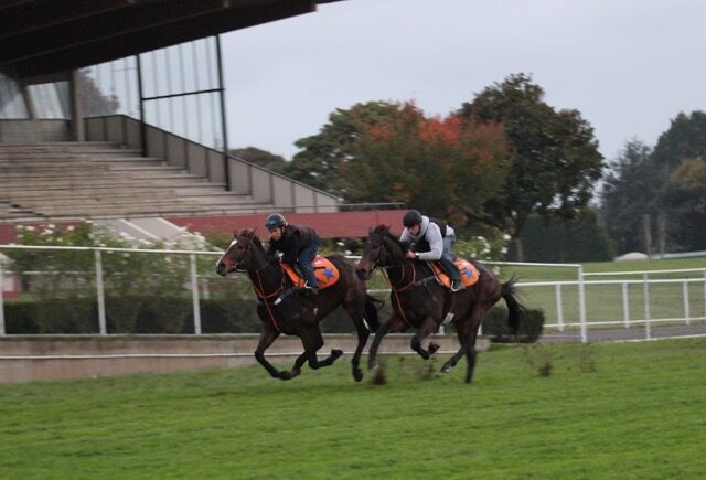 Te Akau Saturday Trackwork