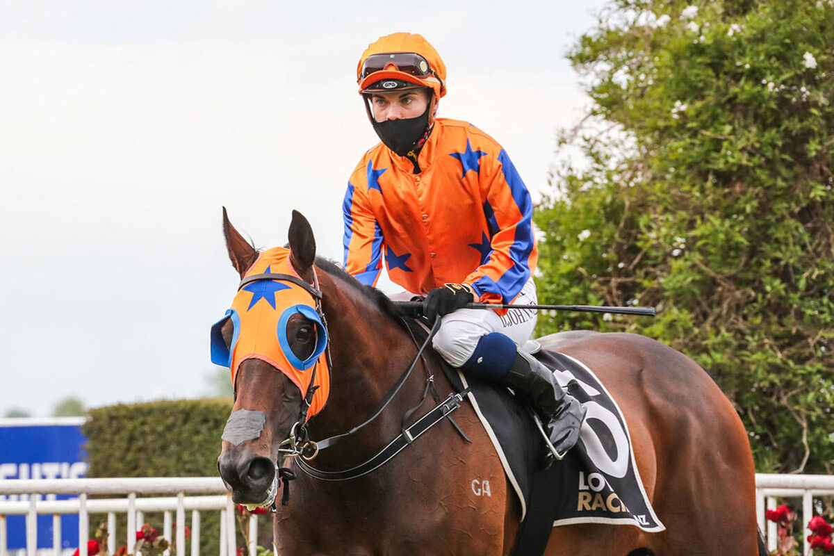 Zouluminous Salutes - 3 Runners, 3 Winners