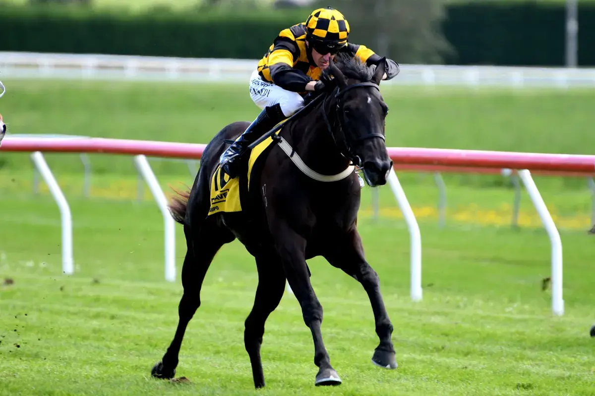 1000th Winner Chases Guineas