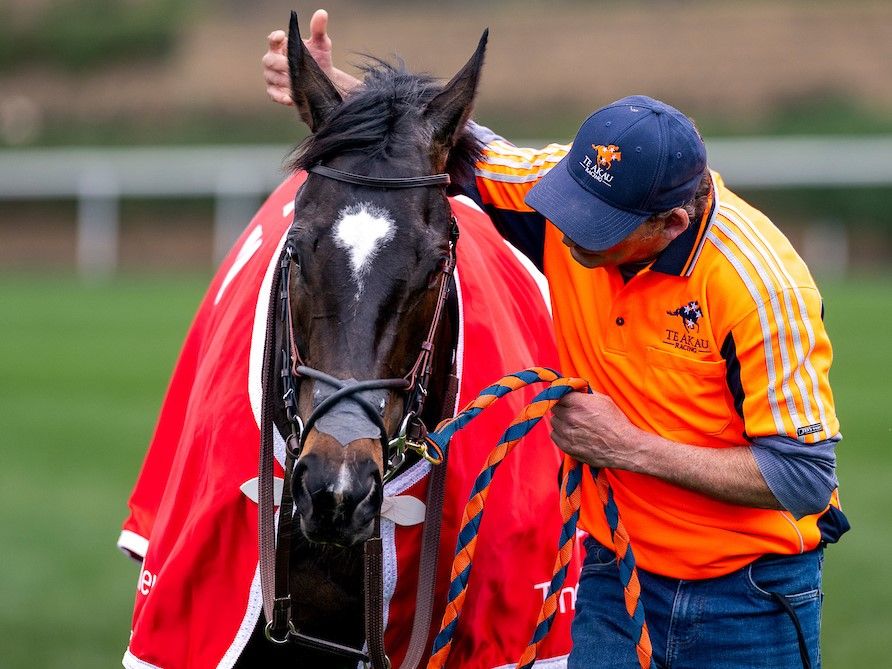 A member of the Te Akau team caring for a horse
